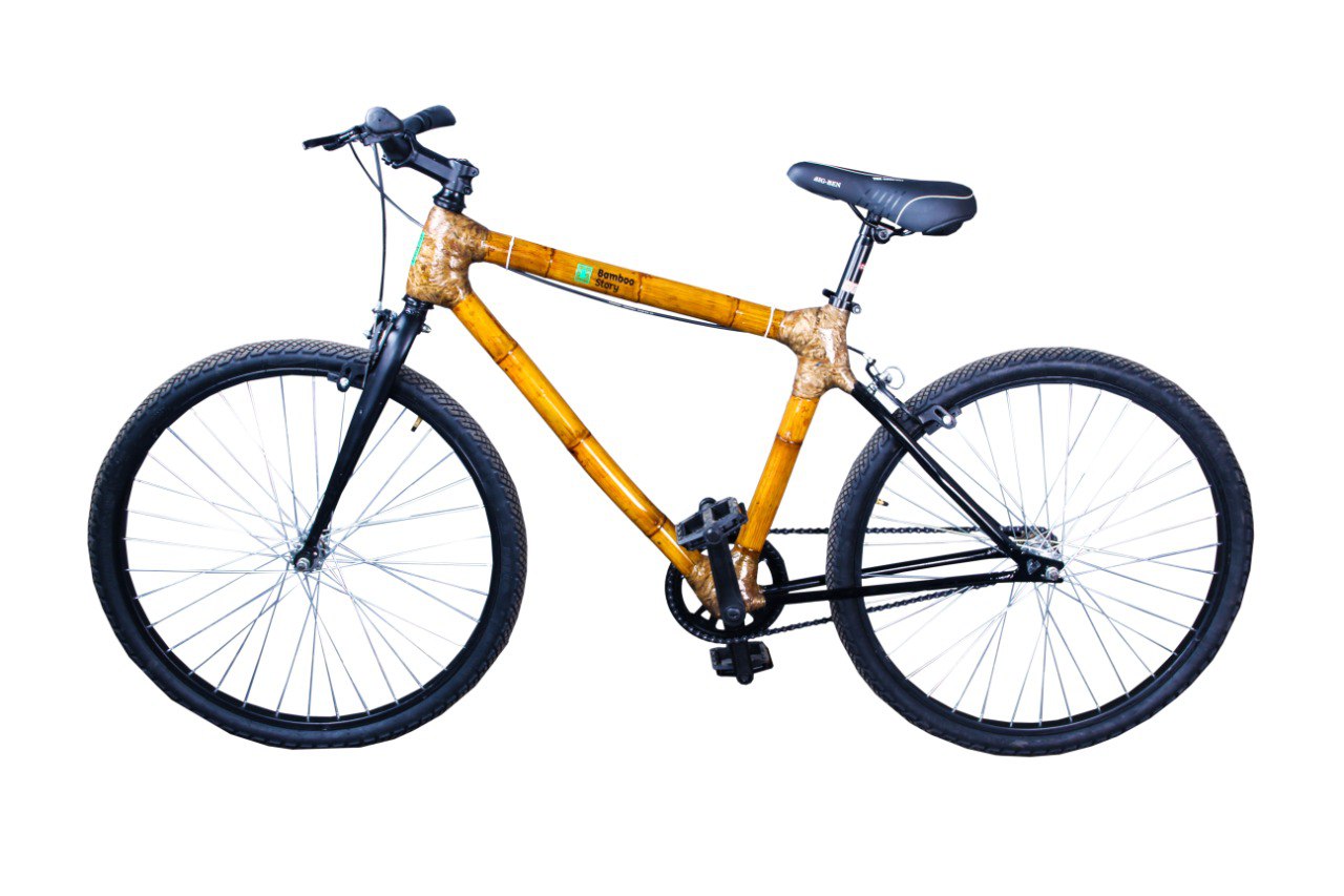 Bamboo cycle price online